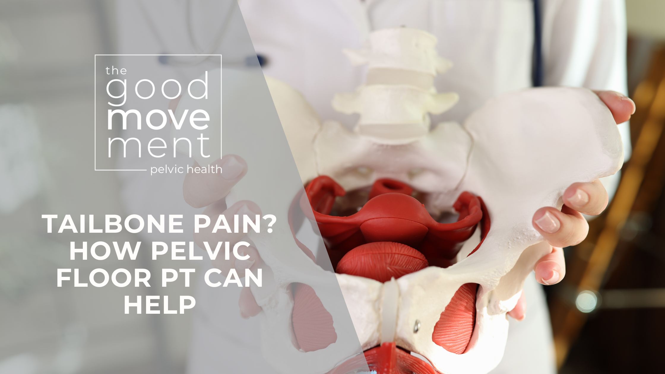 Tailbone Pain? How Pelvic Floor PT Can Help in St. Paul &amp; Minneapolis