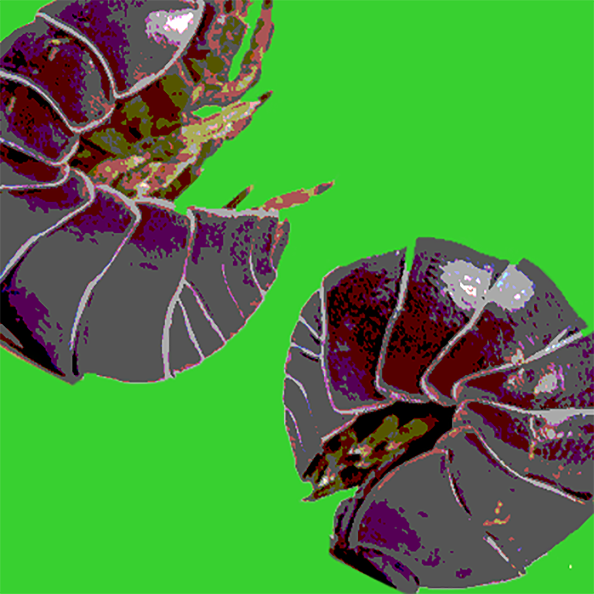 doodlebug2.png