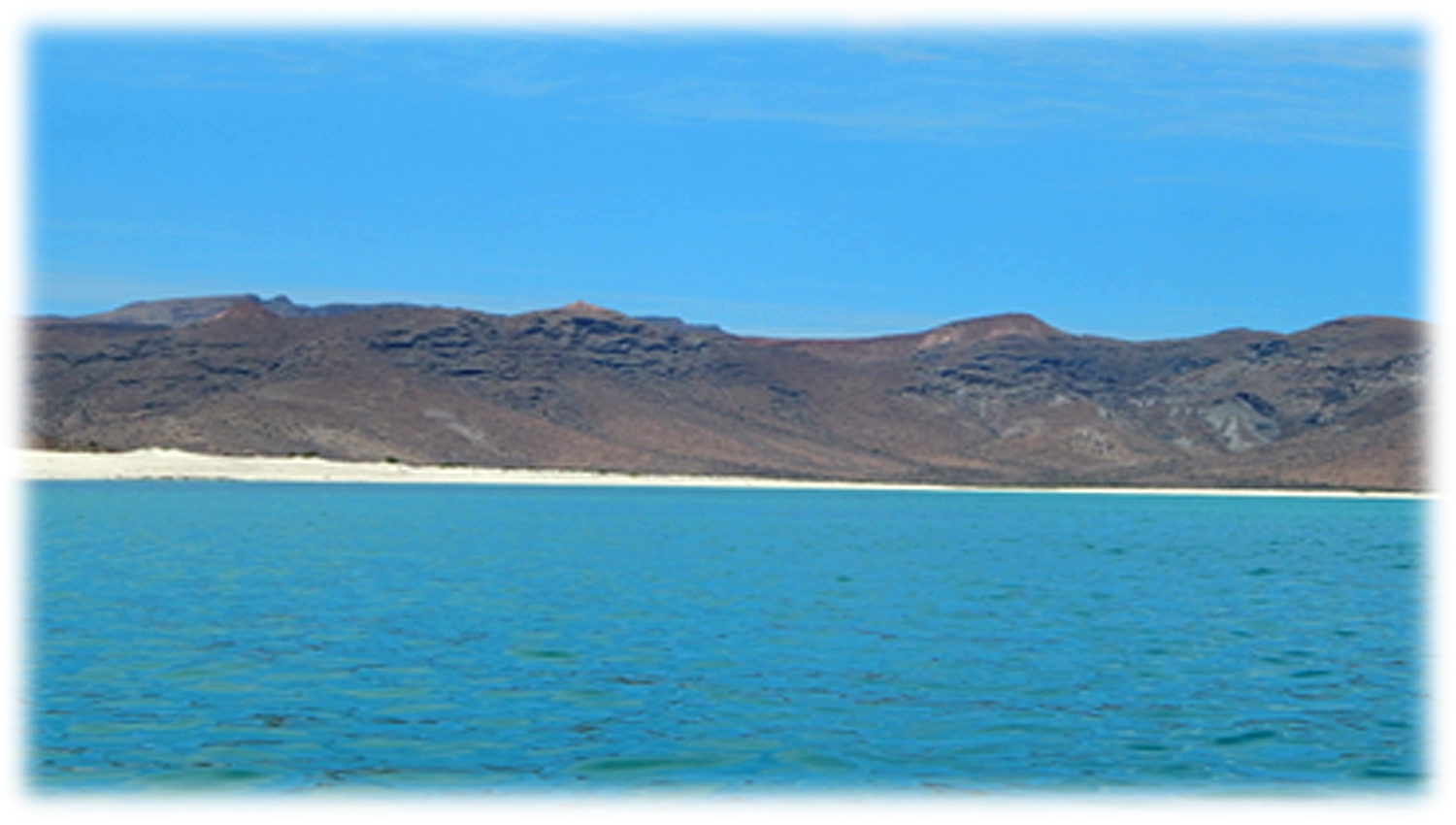 seaofcortez3.png