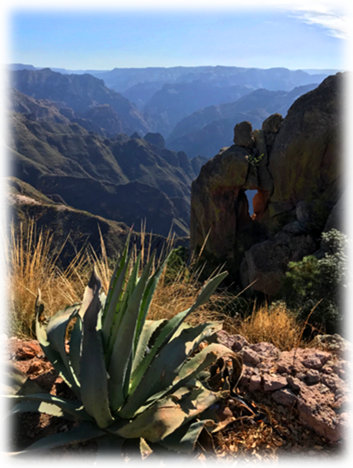 Canyon (how do you photograph 25,000 square miles?)