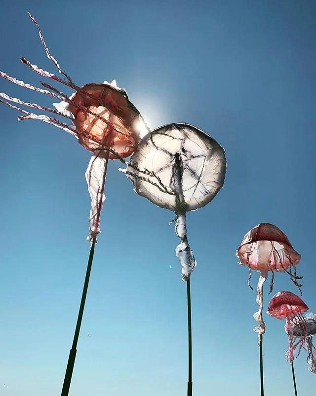 #seahearnow #seahearnowfestival #asburyparkbeach #jellyfish #summerstaywithme