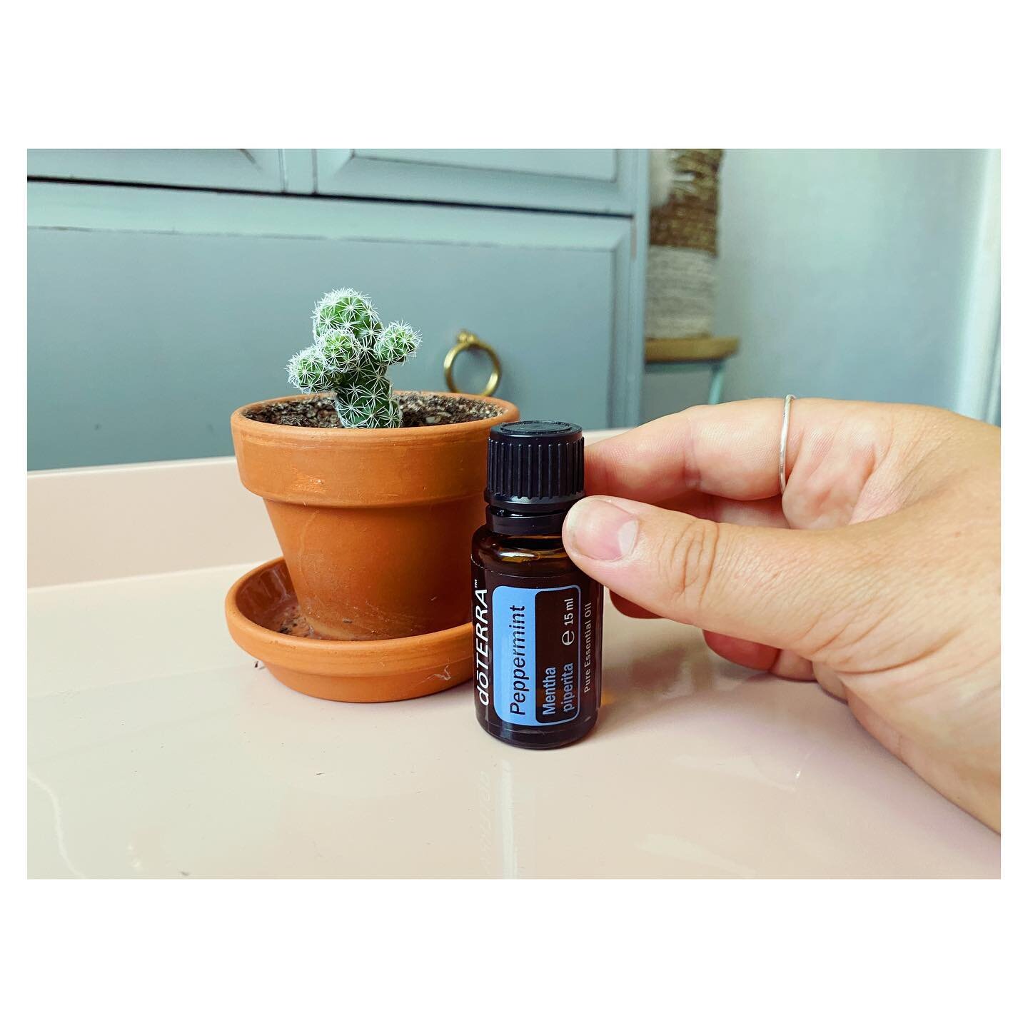 My Godmother/aunt is teaching me all her great aromatherapy tricks! Peppermint essential oil is so good to use in this heat! I put a drop in my diffuser and I also put a drop in the palms of my hands, rub them and then rub the back of my neck. Kiss c