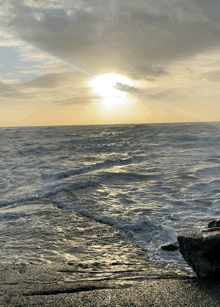 Newsletter 01/01/21 - I wish us