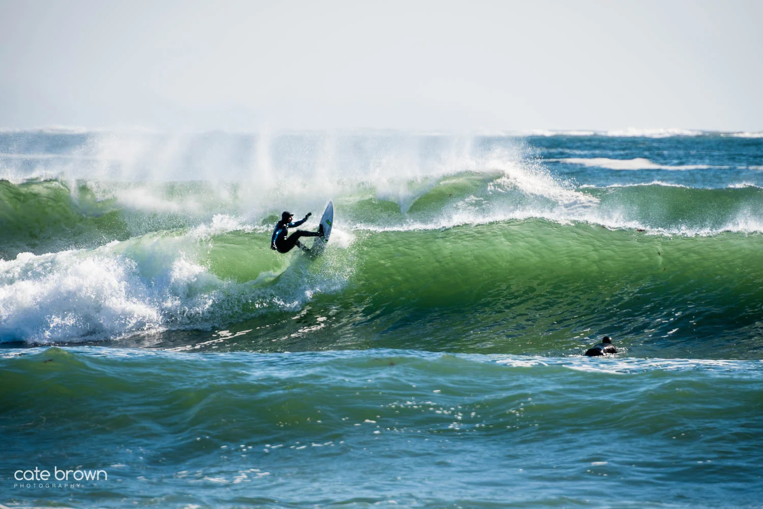 Photo courtesy of Cate Brown Photography