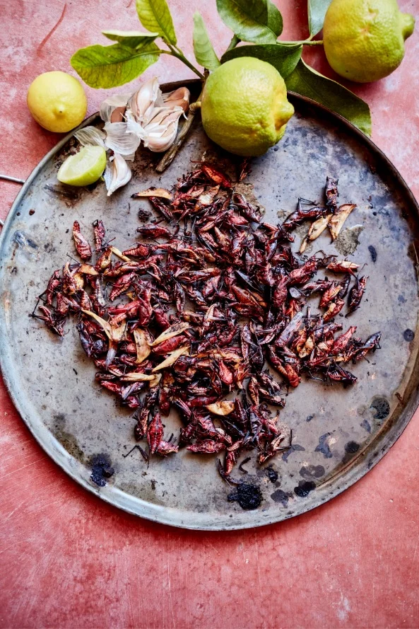 Chapulines LR GH.jpg