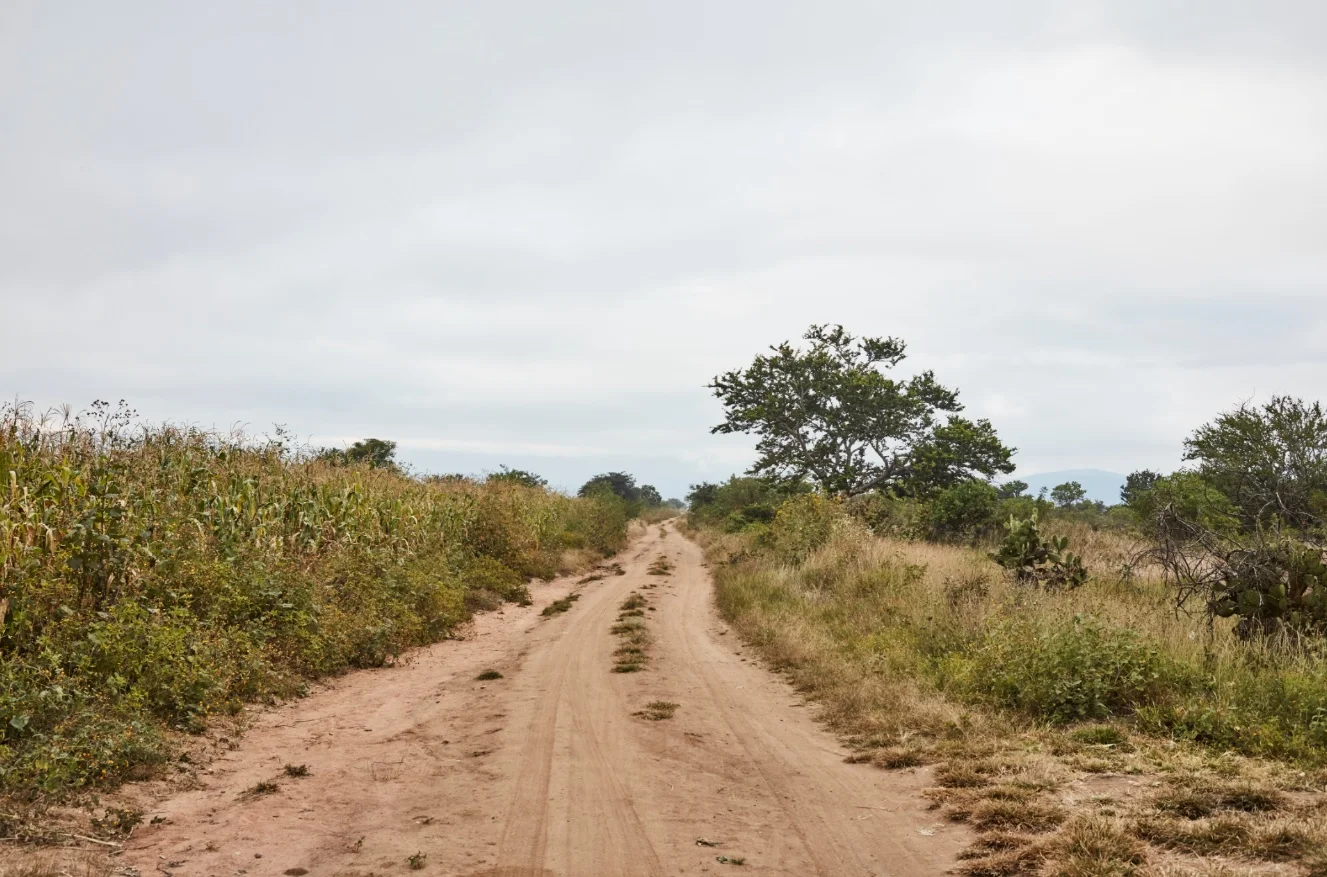 Dirt road LR GH.jpg