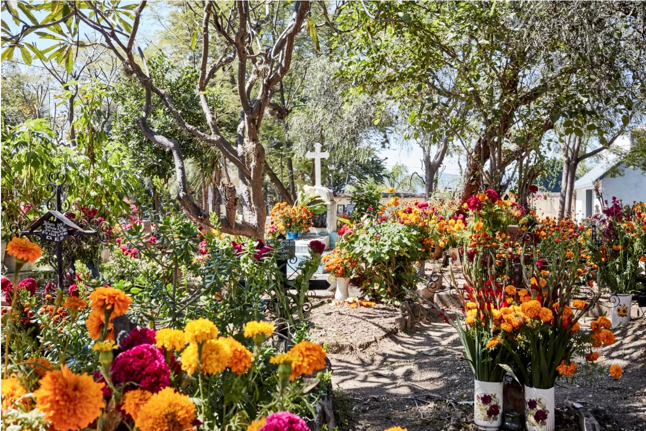 Teo graveyard LR GH.jpg