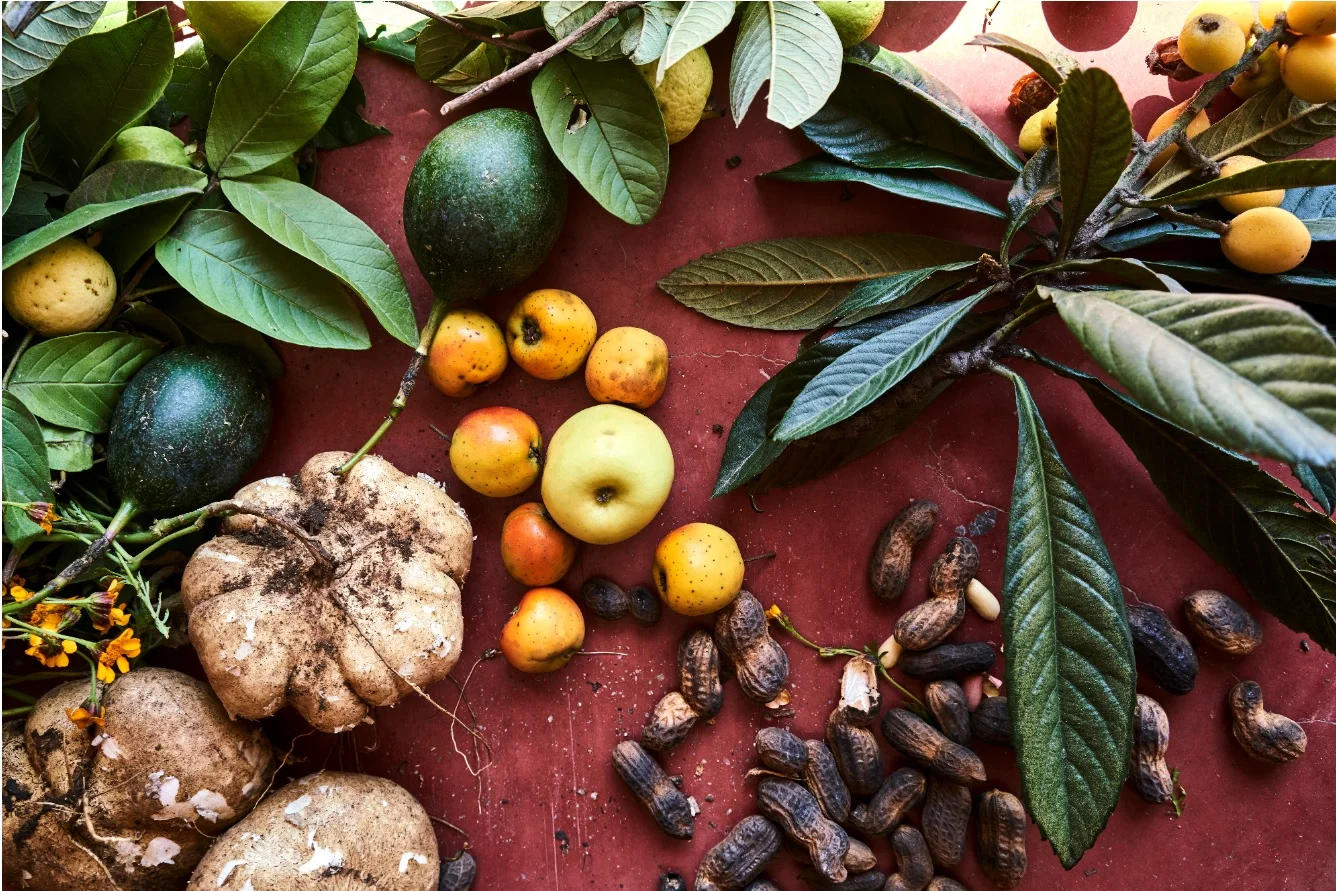 Fruit horizontal LR GH.jpg