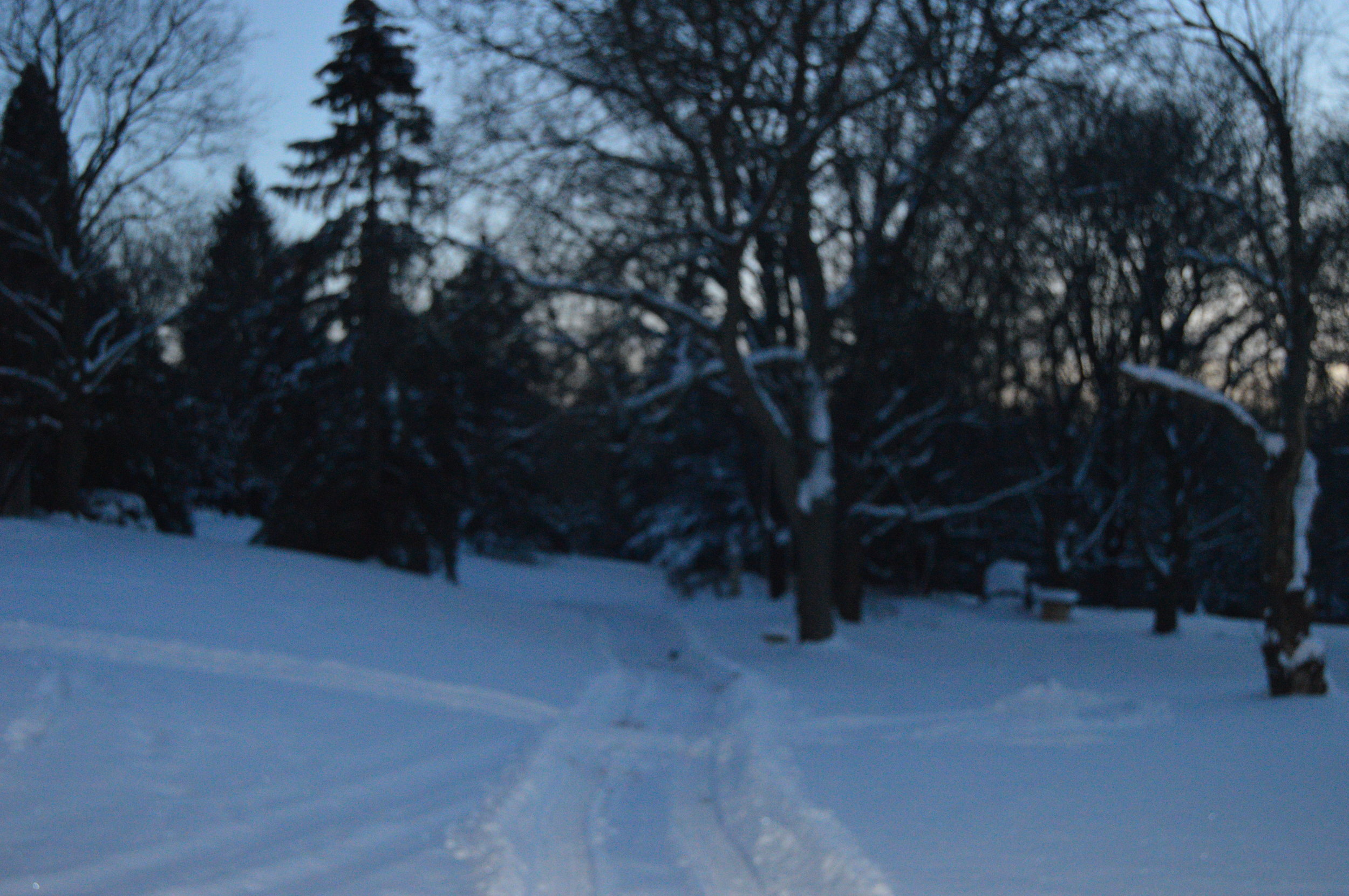 DSC_0205.JPG