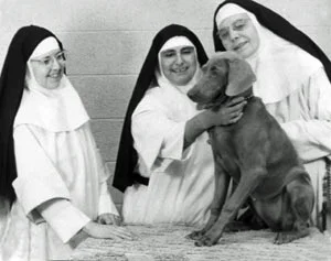 From left, extern sisters Sr. Mary of the Assumption, Sr. Mary Raphael and Sr. Mary Louis with “Shiny.”