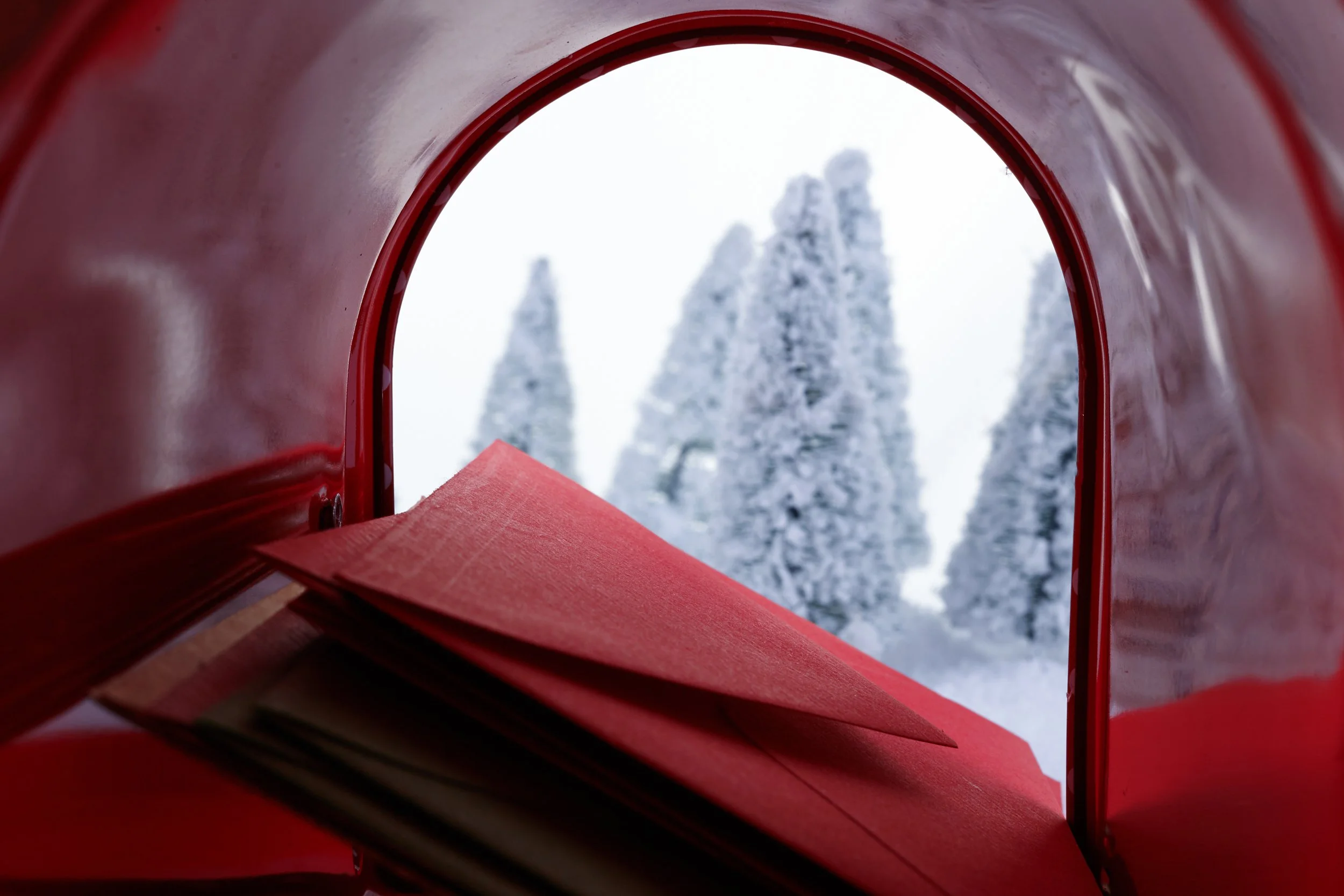 Christmas Cards Will Always Be a Priority for Me!