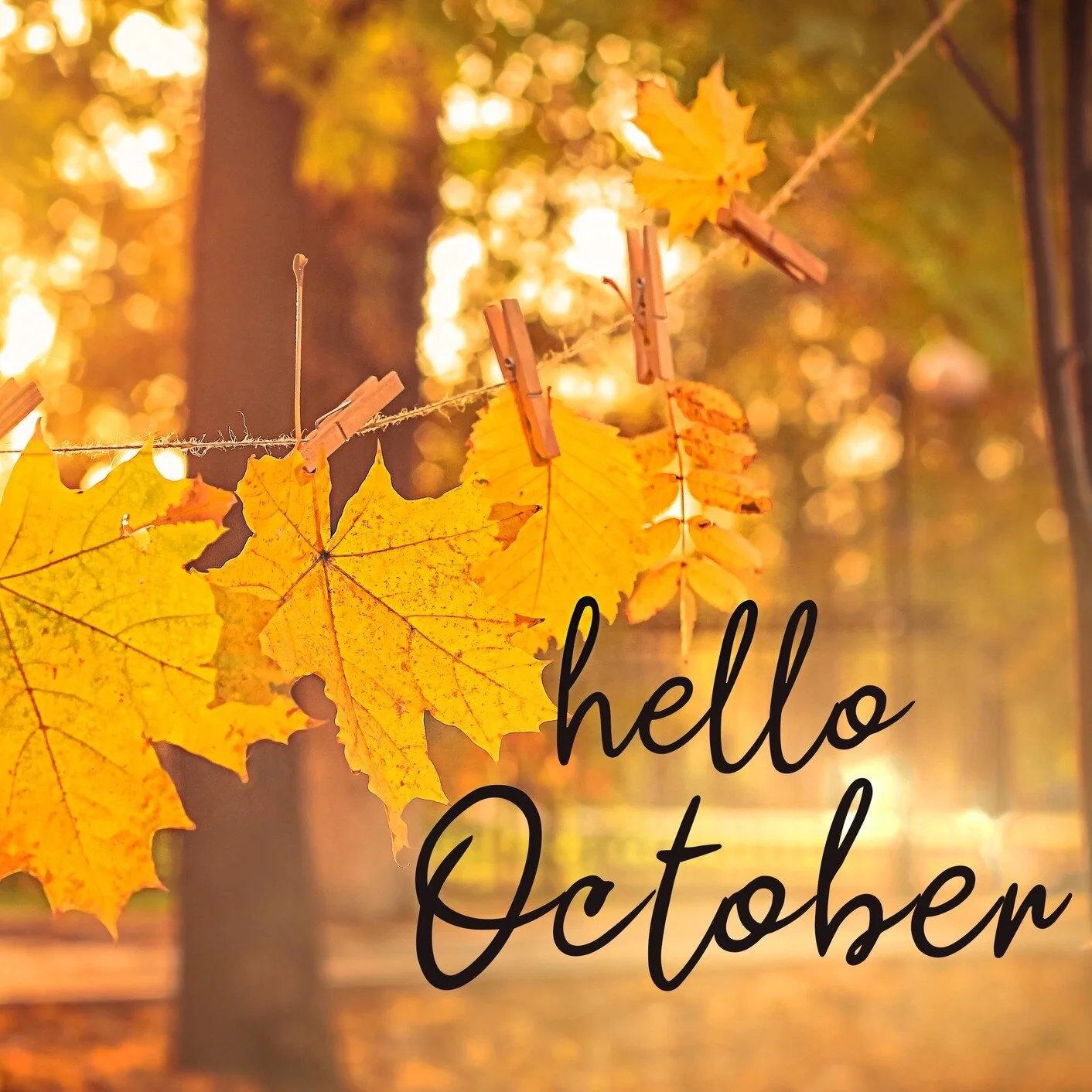 Welcome, October!! 🍂🧡🎃
This time of year, we think about spending time on the couch watching Gilmore Girls with a mug full of peppermint tea as we get ready for the first holiday of the holiday season - Halloween! 
What's your favorite fall bevera
