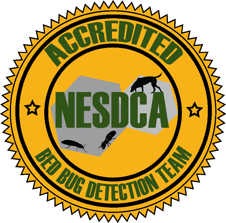 nesdca.png