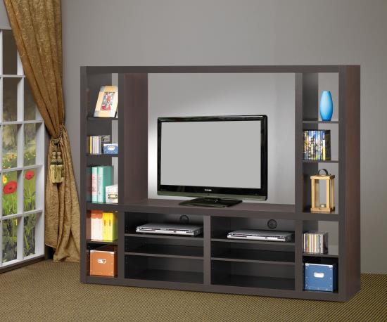 Entertainment Unit