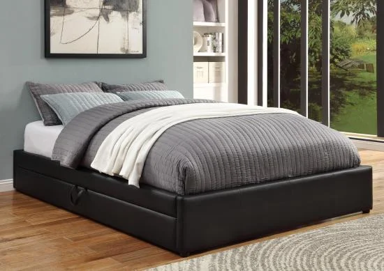 Storage Upholstery Bed