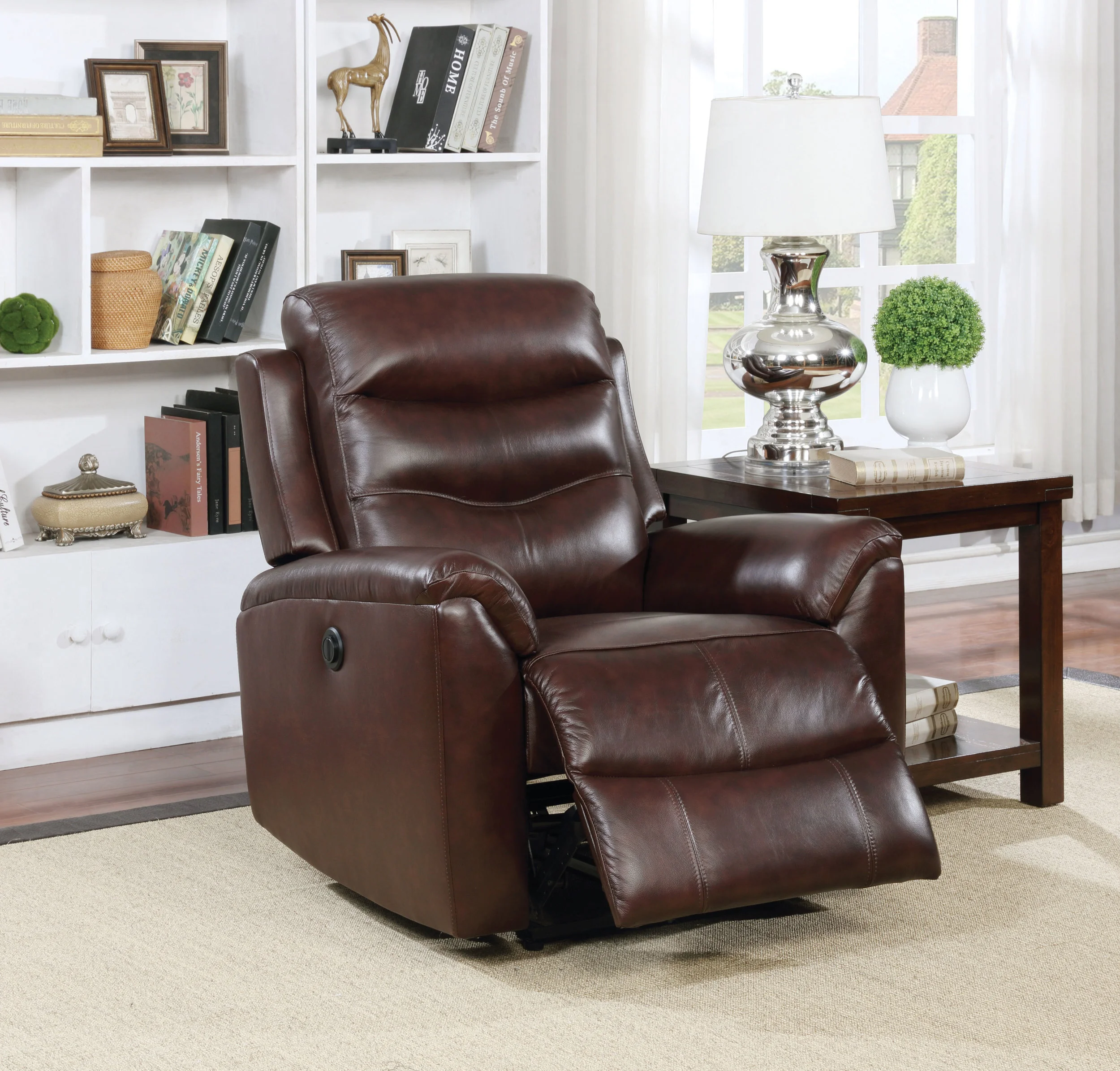 Power Motion Recliner