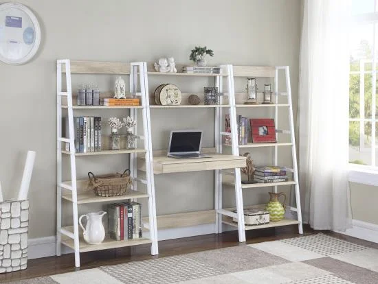 Ladder Desk and Bookcase