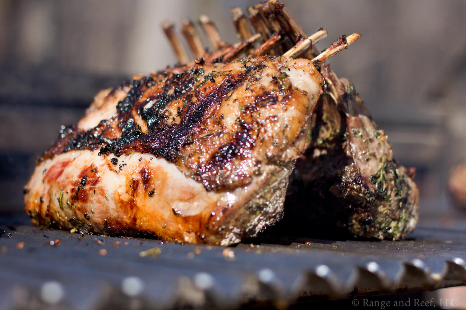 rack of lamb.jpg