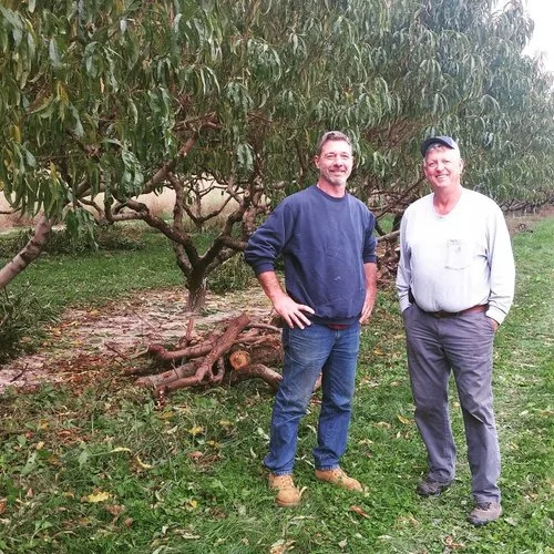 smith+and+sons+farm+orchard.jpg