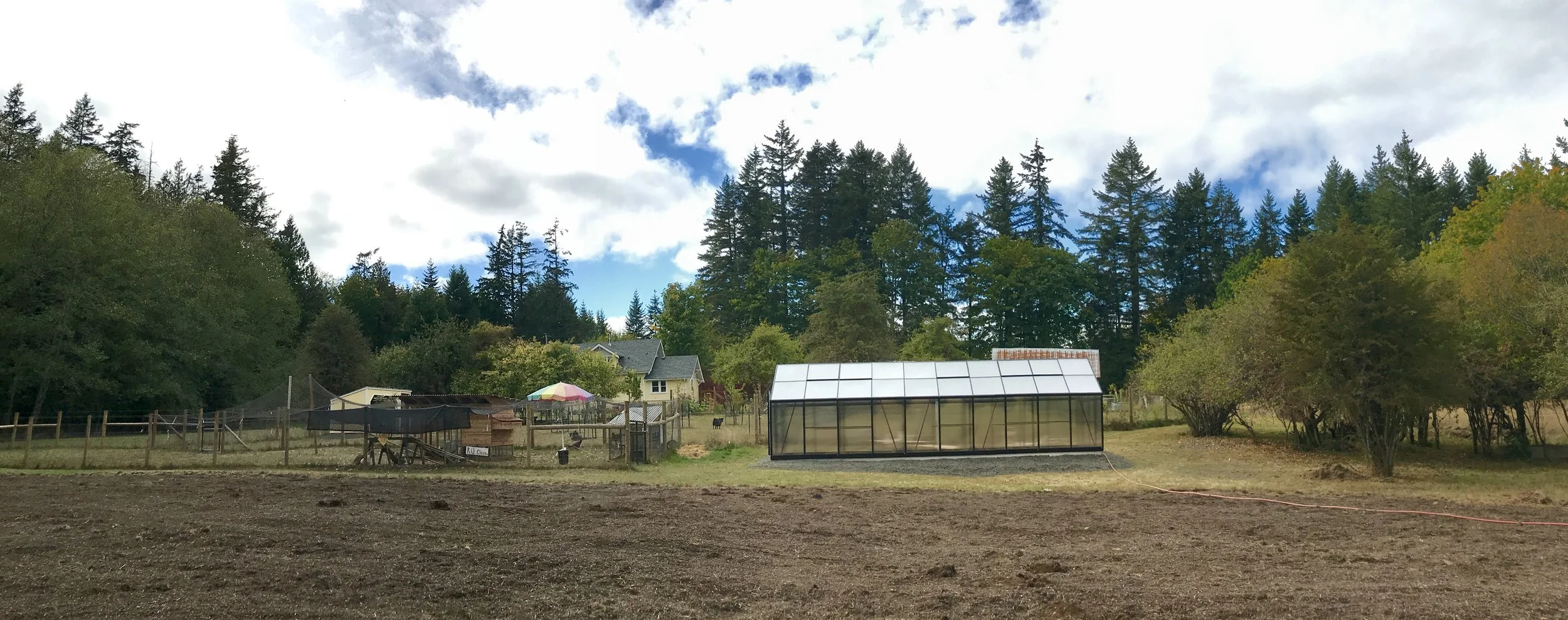 greenhouse.jpg
