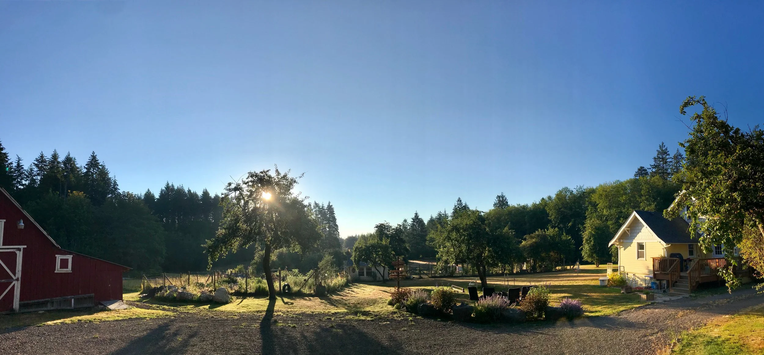 Morning sunrise.