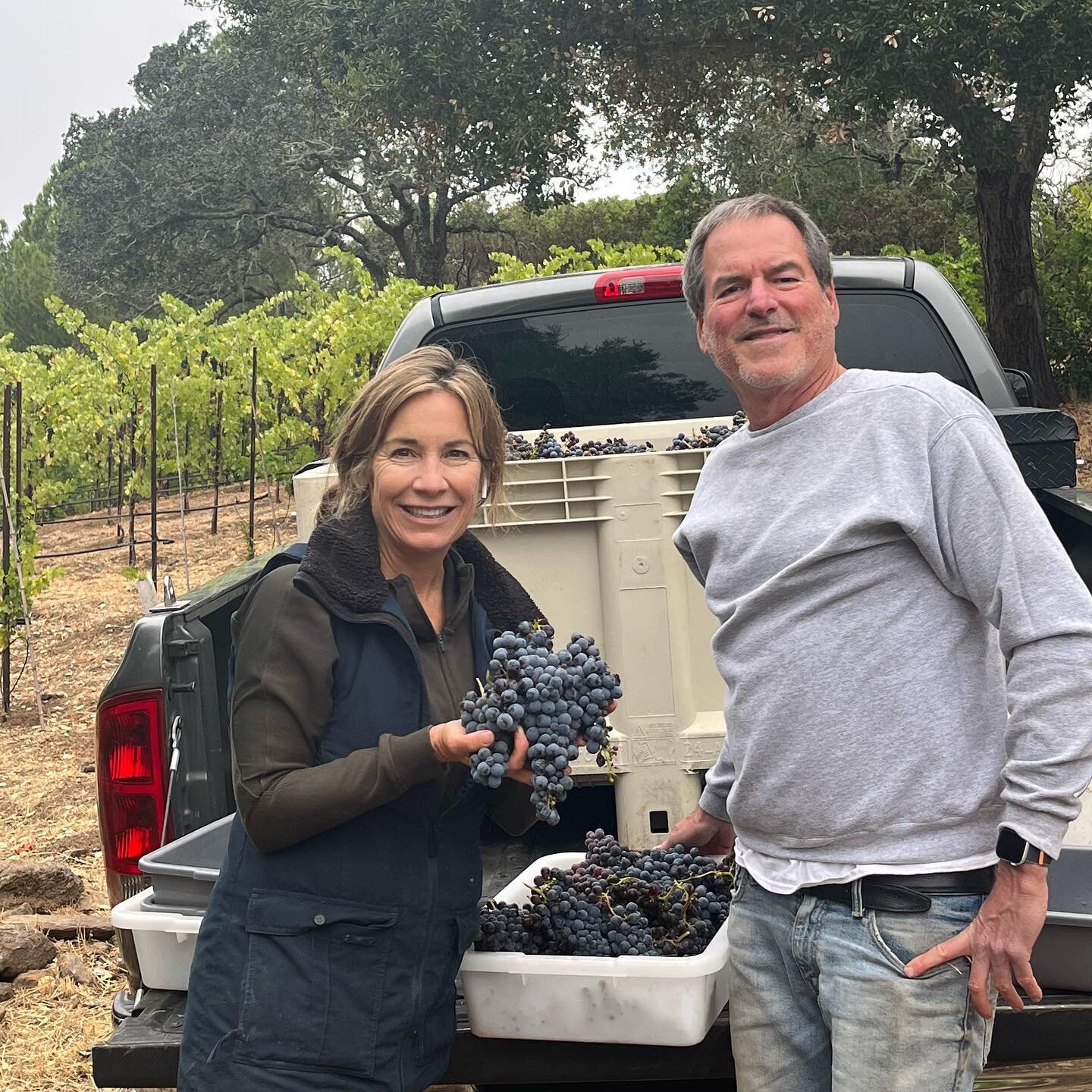 More harvest photos.  I love to document each harvest and the people ( and pups) that help with harvest. 2022 Sangiovese harvest was just Family and Tony&rsquo;s team. Grateful for good people, Peets Coffee and good weather!💪☕️😉😎🍇 #harvest #grape
