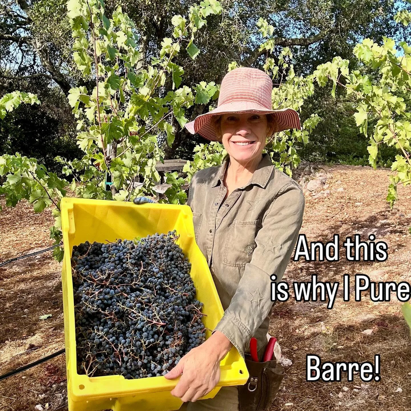 Pure Barre Noe Valley #purebarrestrong #purebarrenoevalley