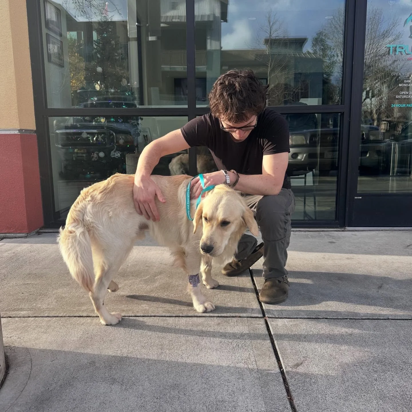 Feeling grateful Scout is ok and home - gave us a scare yesterday 🙏🏼❤️❤️