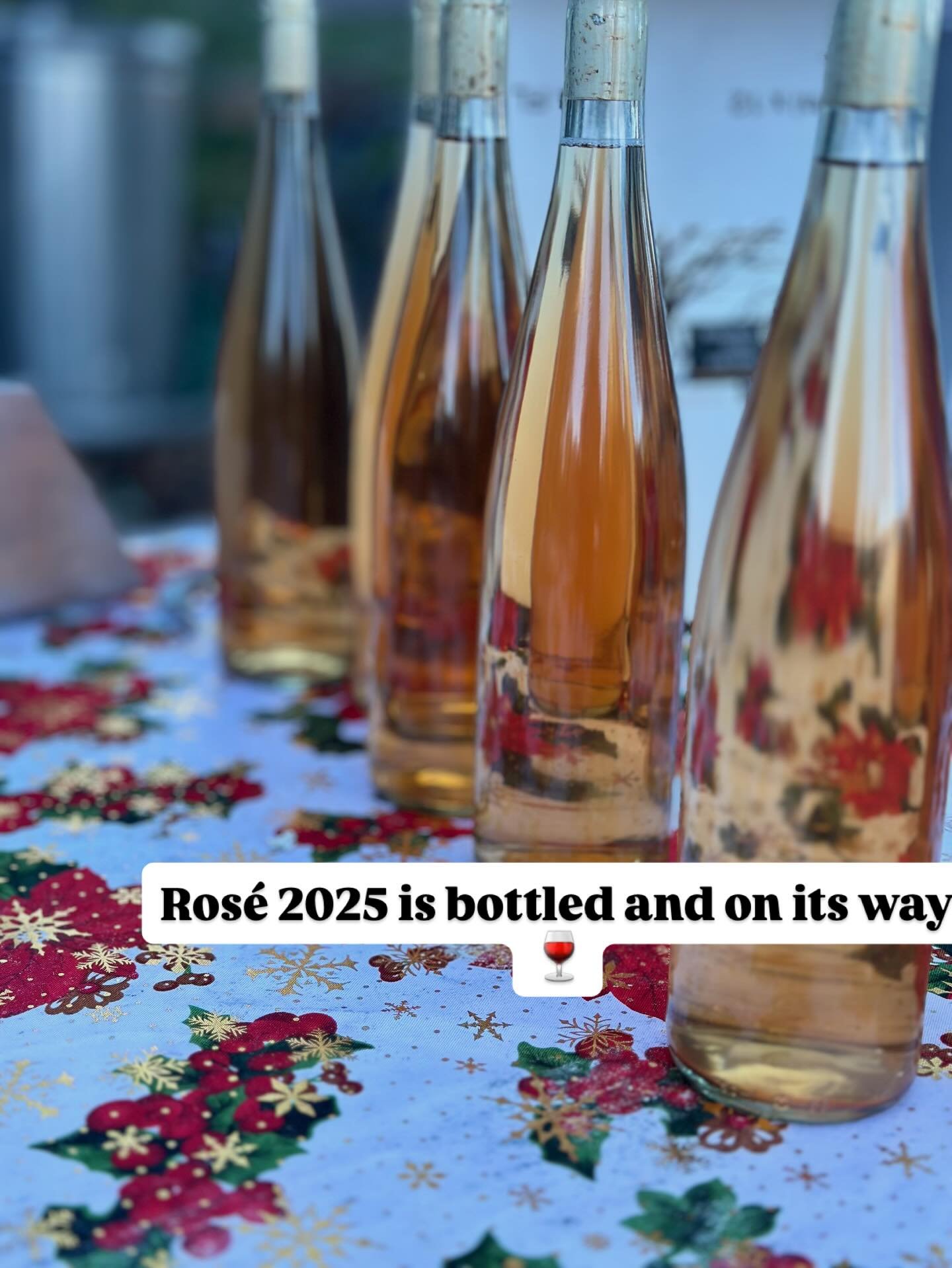 It's bottling time! We're excited to share that our 2025 Sauvignon Blanc &amp; Sangiovese Ros&eacute; are being bottled, followed by our 2023 Sangiovese, proprietary blend, and Cabernet Sauvignon. Can't wait for the reveal! #slowwine #Sonomawine #cra
