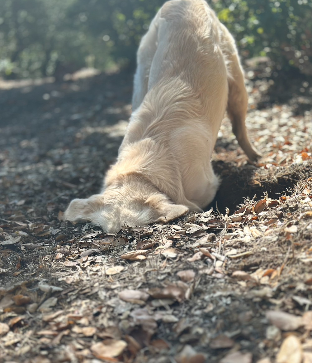 Sip, Sniff &amp; Discover 