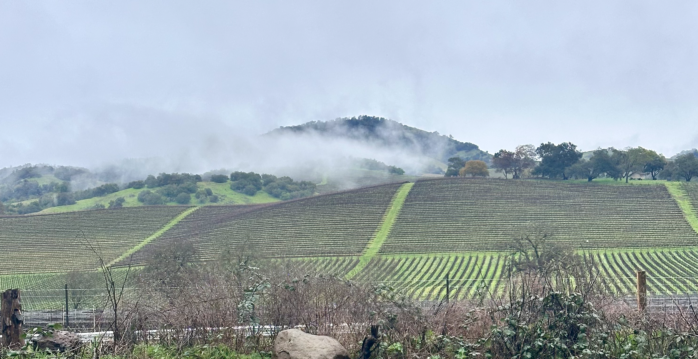 SIP SUNSET &amp; STROLL