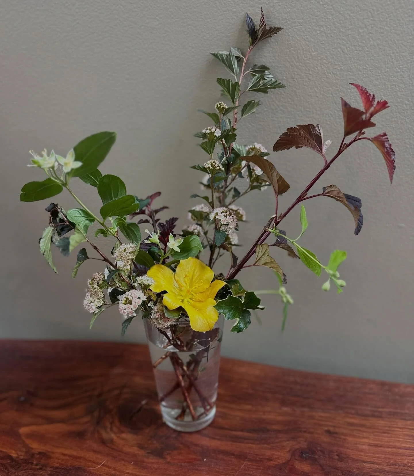 Spring is fully here. This week&rsquo;s arrangement features purple-leaf and flowering ninebark, California flannel bush (that sunny yellow bloom!), and native rose foliage &mdash; all from the property. In the garden, our Double Delight roses are op