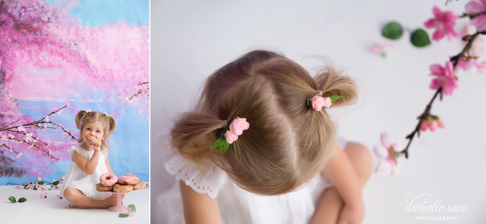 handpaintedcherryblossombackdrop_0004(pp_w899_h413).jpg