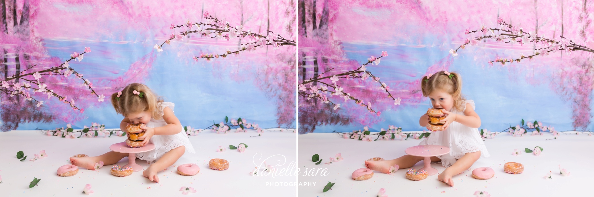 handpaintedcherryblossombackdrop_0015(pp_w899_h299).jpg