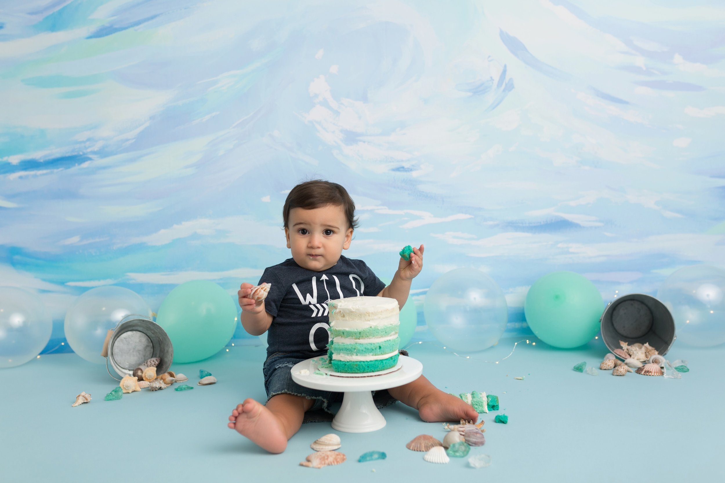 cakesmashhotographermaryland_0002.jpg