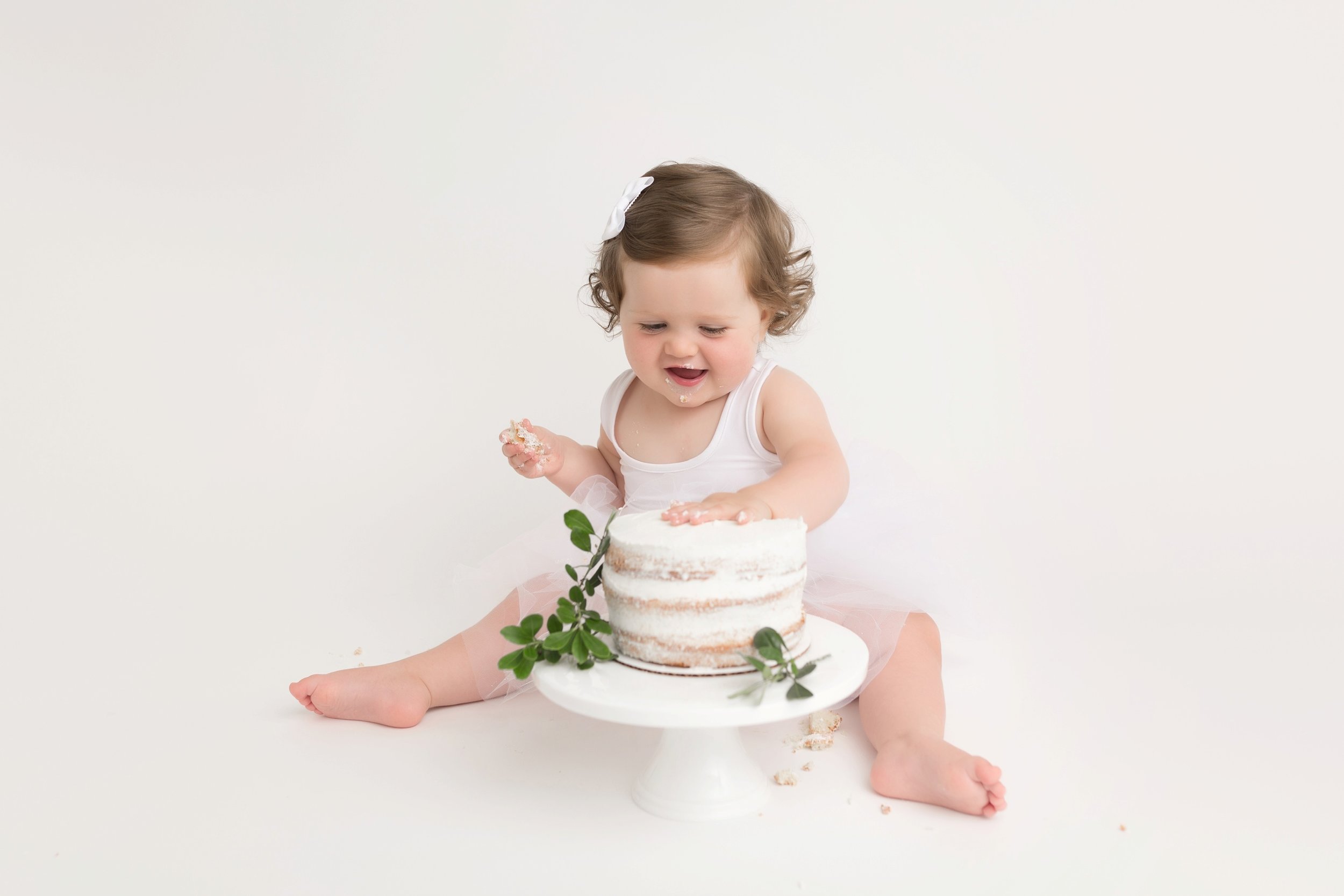 cakesmashhotographermaryland_0001.jpg