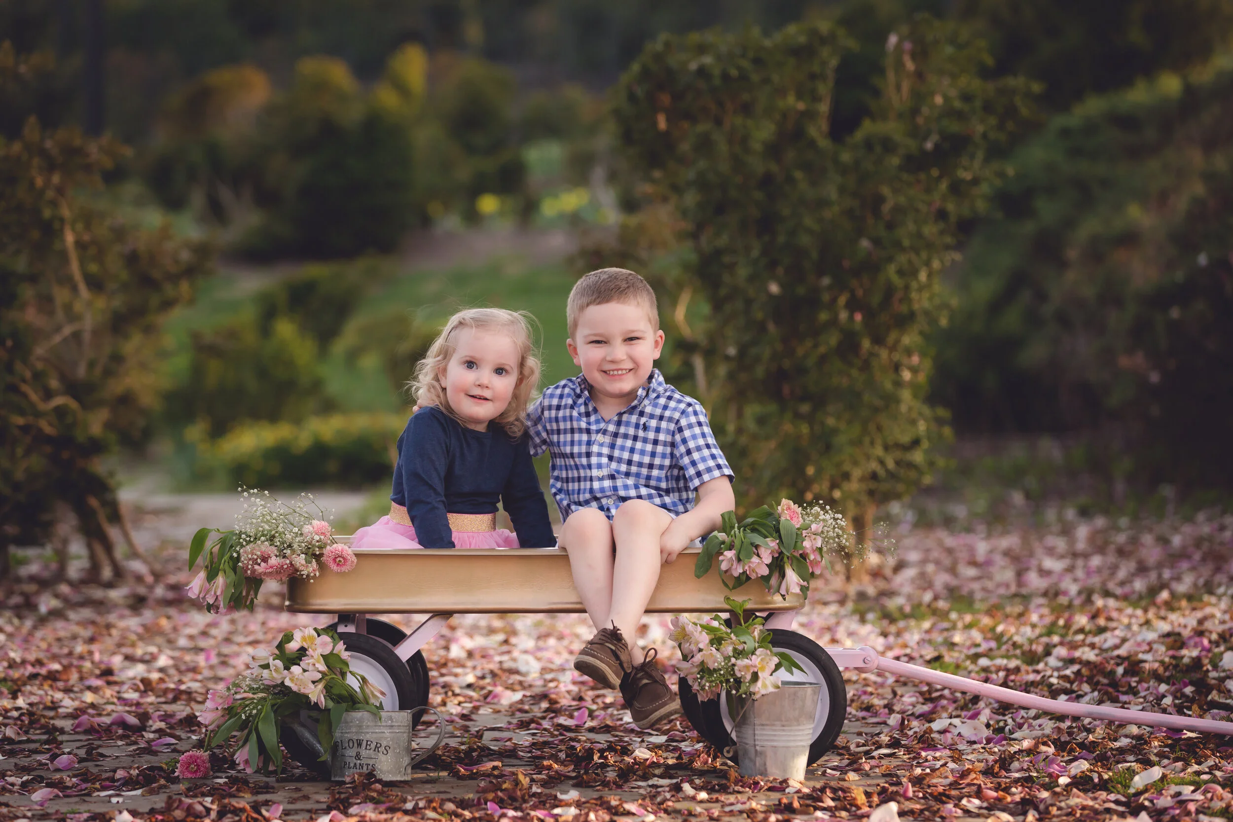 2019 Spring MIni Sessions.jpg