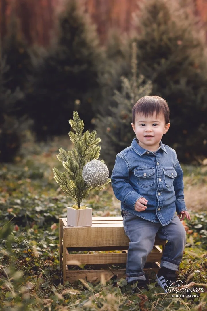 TreefarmminiSessions_0008.jpg