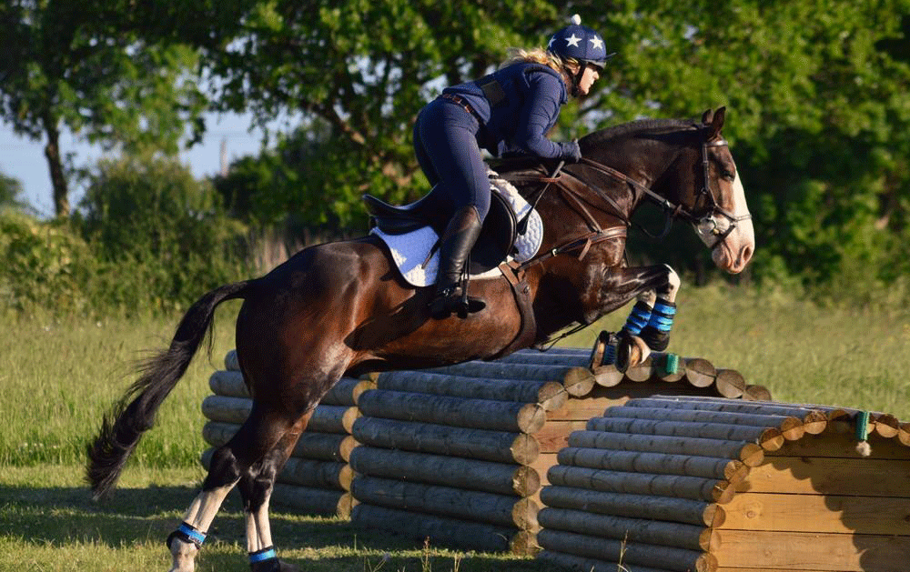 horse5.gif