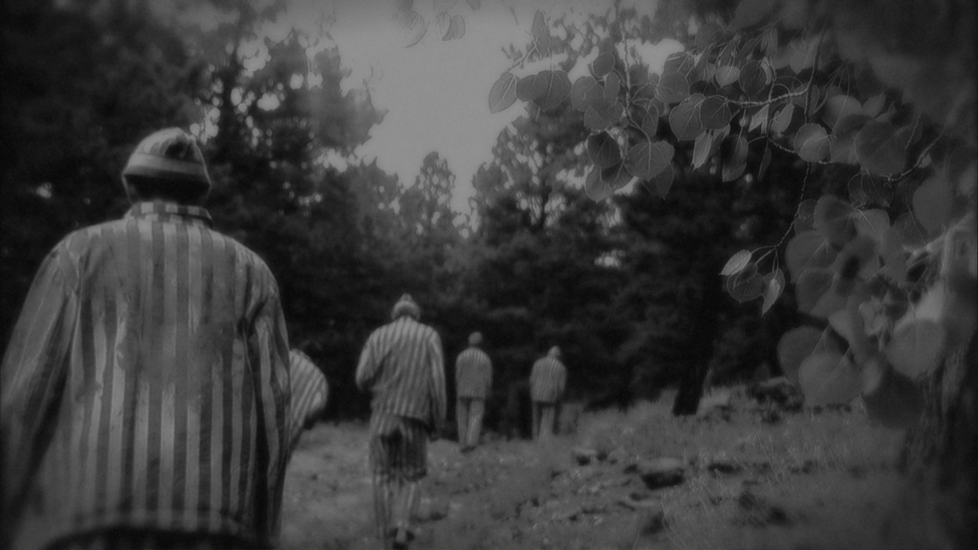 Berga Hitler Death Camp Slideshow 03.jpg