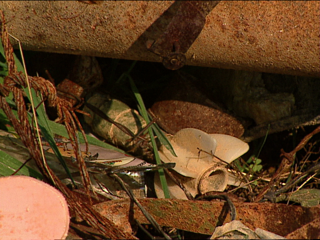 Clearing the Killing Fields Slideshow 04.jpeg