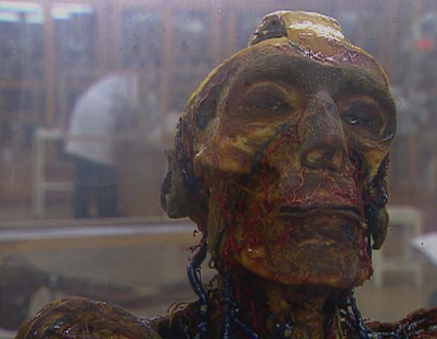 Riddles of the Dead Vimeo 01.jpg