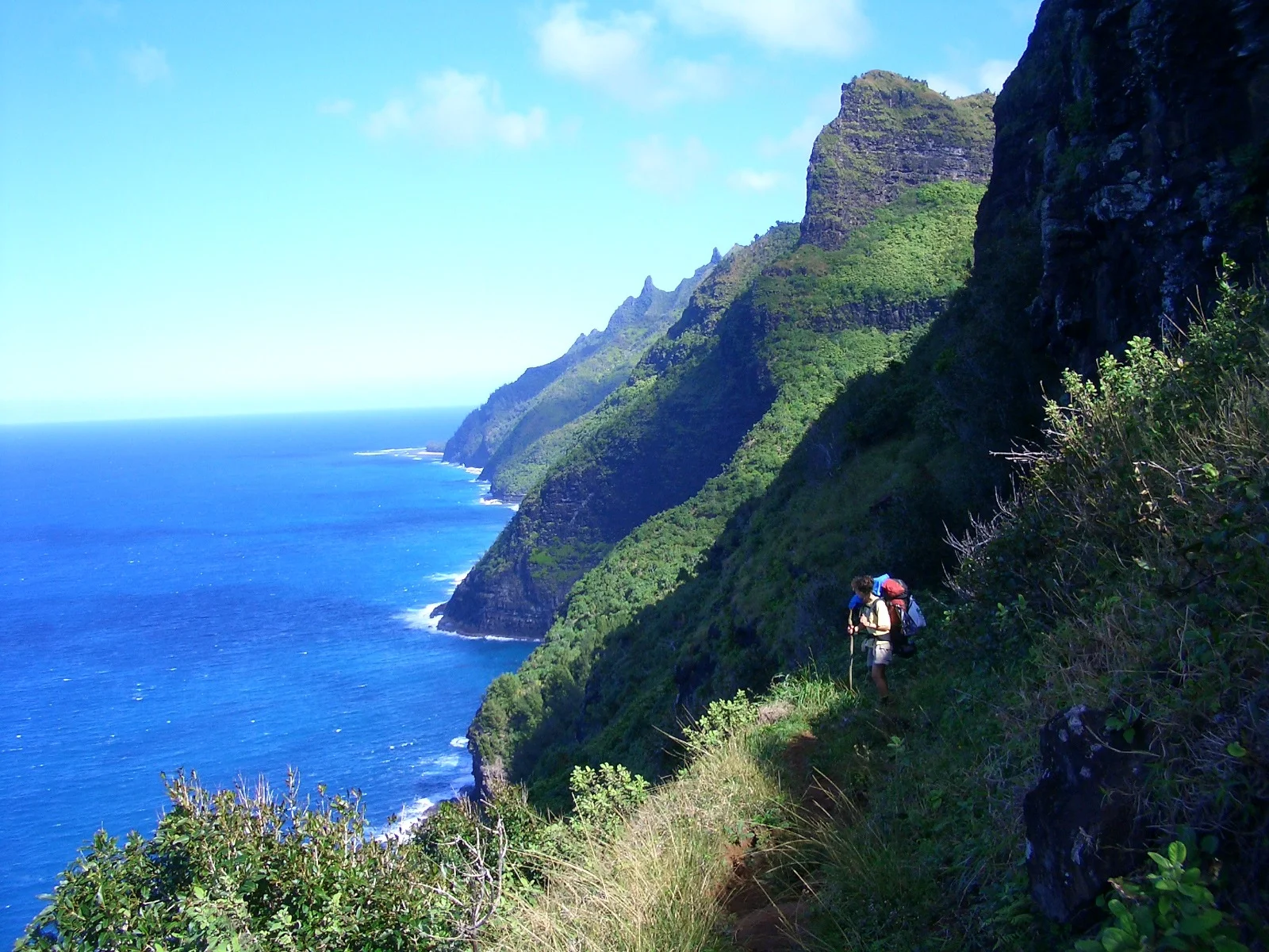 Lost in the Wild Slideshow 01.jpg