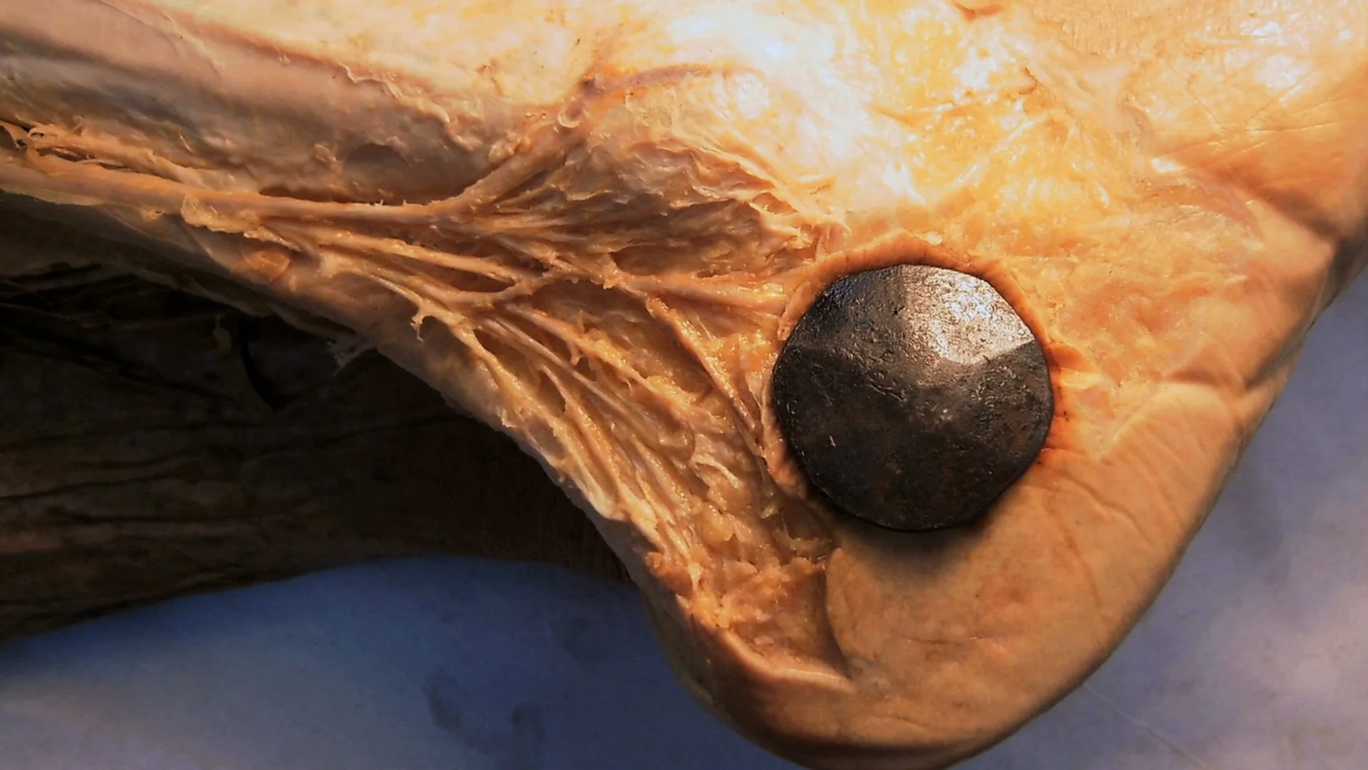 The First Jesus: An Archeological Mystery