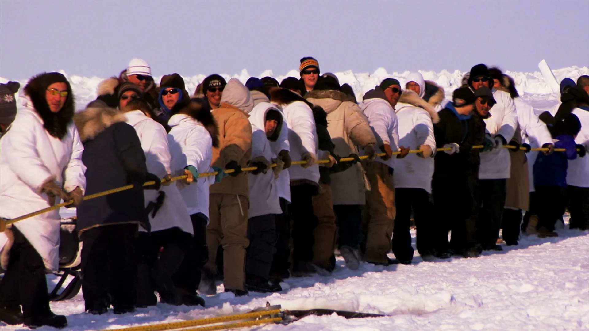 Villagers of Barrow head out to the sea ice to help pull up the whale.