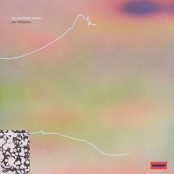 Mycorhizzal Music Cover.jpg