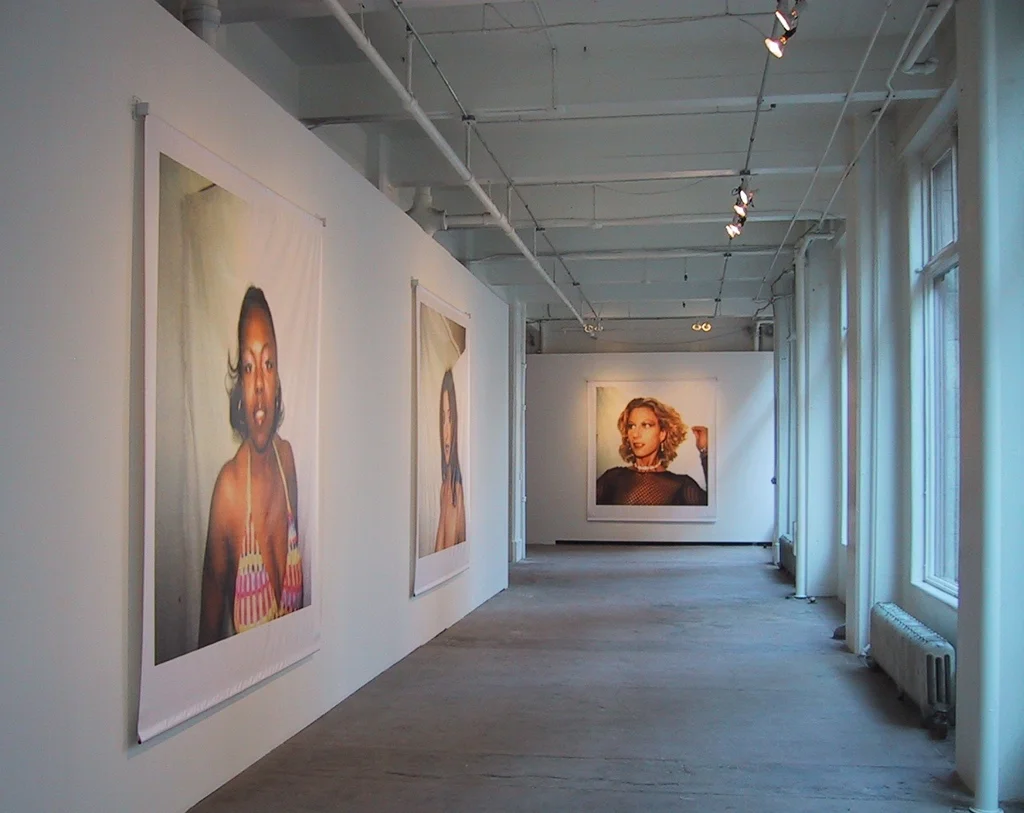 PLUG IN ICA, INSTALLATION VIEW 2005