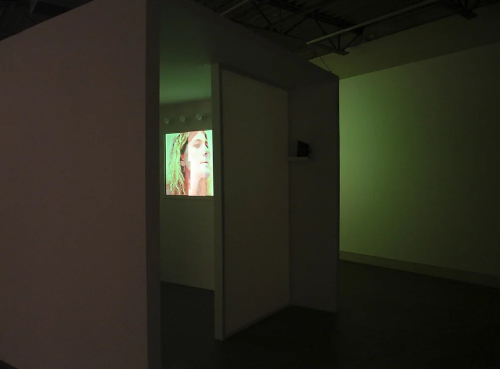 GALLERY TPW video installation , 2007 length 17:10.