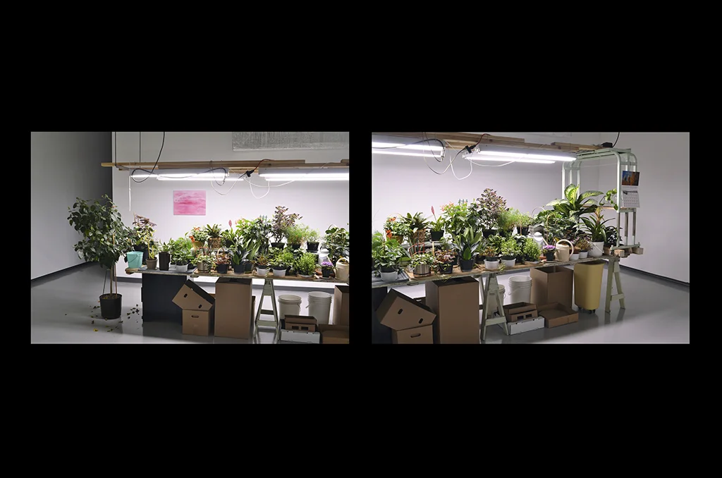 GREENHOUSE Installation at the Winnipeg Art Gallery , 2012