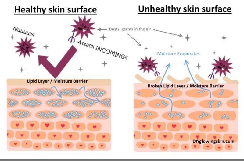The Natural Barrier Function. Image courtesy of DIYGlowingskin.com